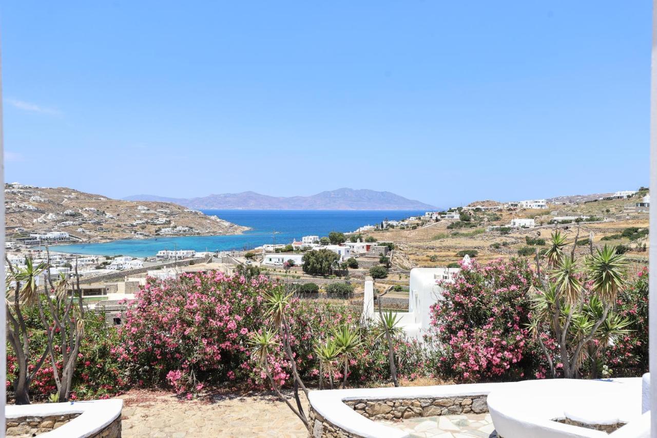 Mykonos In White Villa Mykonos Town